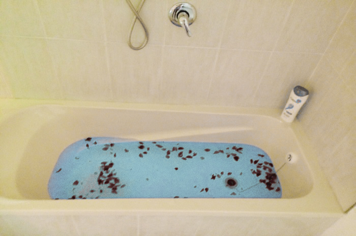 חדרים לפי שעה באזור נתניה 5