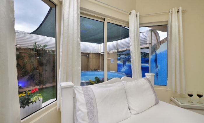 מושב חזון אטרקציות 9